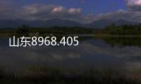 山東8968.405 12°輸尿管鏡維修