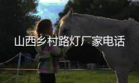 山西鄉(xiāng)村路燈廠(chǎng)家電話(huà)
