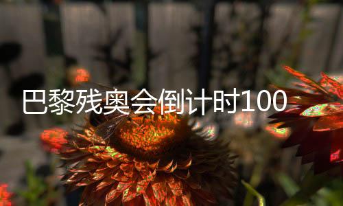 巴黎殘奧會倒計(jì)時(shí)100天 我國已獲19個(gè)大項(xiàng)參賽資格