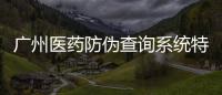 廣州醫(yī)藥防偽查詢系統(tǒng)特點(diǎn)及防偽碼制作服務(wù)