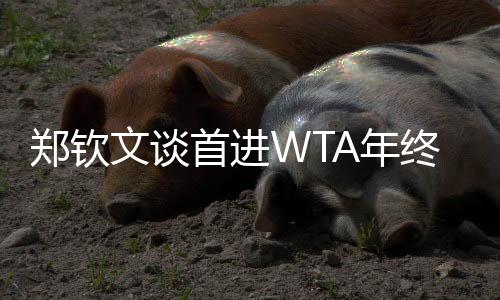 鄭欽文談首進(jìn)WTA年終總決賽：先把身體與精神恢復(fù)到最佳狀態(tài)