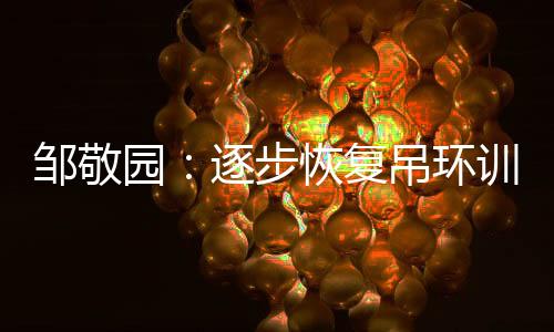 鄒敬園：逐步恢復(fù)吊環(huán)訓(xùn)練，期待世錦賽有好的表現(xiàn)