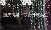 重慶銅梁：聯(lián)合開展大豆玉米帶狀復(fù)合種植技術(shù)培訓(xùn)