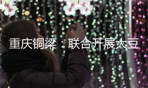 重慶銅梁:聯(lián)合開展大豆玉米帶狀復合種植技術培訓