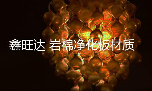 國(guó)產(chǎn)替代美國(guó)蘇威PARA1524玻纖增強(qiáng)高剛性無(wú)鹵阻燃聚丙烯酰胺