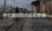 勝壯膜結(jié)構(gòu)點(diǎn)擊咨詢(圖)