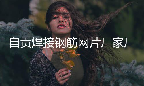 四兩科技太陽能外墻磚光伏走廊LED燈裝配式安裝可離網(wǎng)可并網(wǎng)