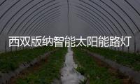 西雙版納智能太陽能路燈