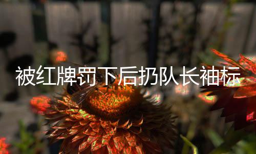 被紅牌罰下后扔隊(duì)長(zhǎng)袖標(biāo)引發(fā)爭(zhēng)議，王大雷道歉