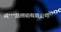 誠***路照明有限公司