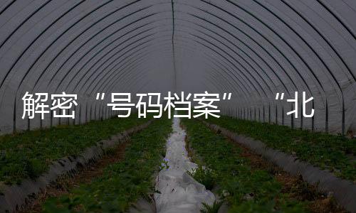 解密“號碼檔案” “北京籃球歷史文化季第二季”啟動