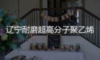 遼寧耐磨超高分子聚乙烯加工件
