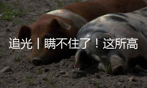 追光丨瞞不住了！這所高校的學(xué)生居然會(huì)“一葦渡江”