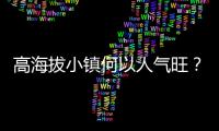 高海拔小鎮(zhèn)何以人氣旺？青年“致富思源”返鄉(xiāng)注活力