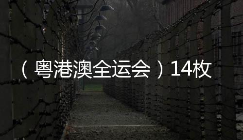 （粵港澳全運(yùn)會(huì)）14枚金牌花落各家 全運(yùn)會(huì)展中國(guó)跳水新風(fēng)采
