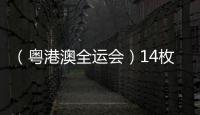 （粵港澳全運會）14枚金牌花落各家 全運會展中國跳水新風(fēng)采