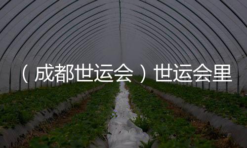 （成都世運會）世運會里的非遺之約：東方美學與世界溫柔相遇