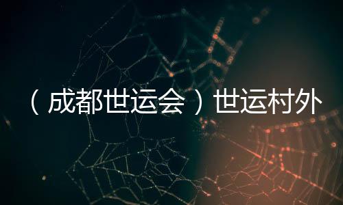 （成都世運會）世運村外的市集：讓世界感知“四川心意”