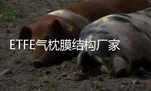 廣州收縮膜生產(chǎn)廠家價(jià)格