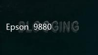 Epson  9880C 熱轉(zhuǎn)印打印機 宣紙打印機
