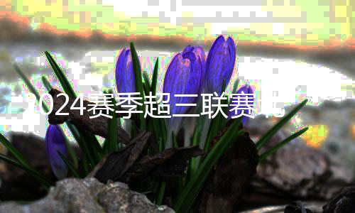 2024賽季超三聯賽北京爭霸賽落幕，無錫隊奪冠